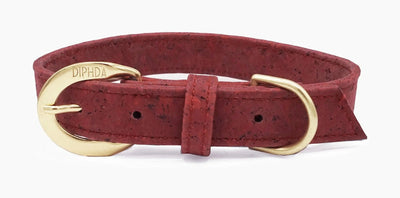 Vegan Leather Dog Collar Benefits: Ideal for Sensitive Pets’ Comfort